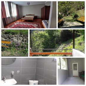 Likani House 1